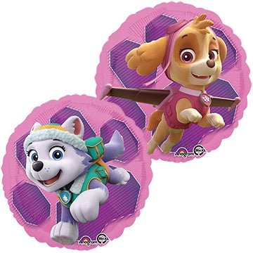 18" Paw Patrol Skye & Everest (10ct)