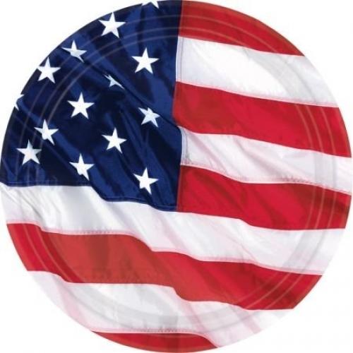 10.5" Paper Plates - Flying Colors (8ct)