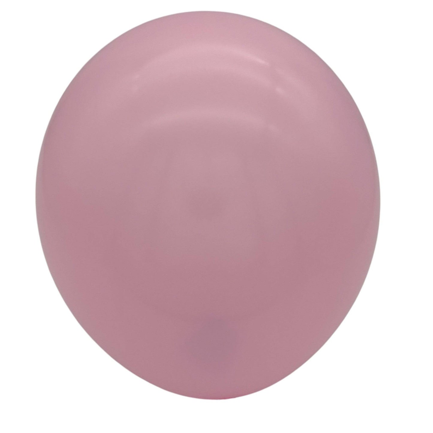 12" Latex - Standard (72ct) - Premium Party Distribution