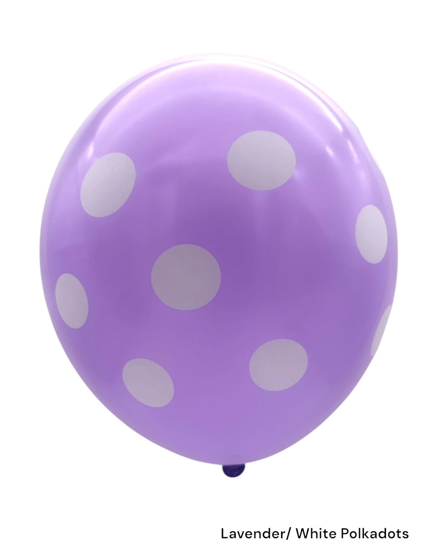 12" Polka Dots (72ct) - Premium Party Distribution