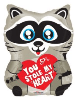 18" Raccoon - You Stole My Heart