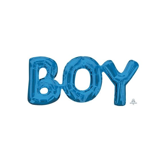 20" Boy - Blue