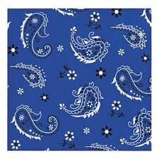 5" Beverage Napkins - Blue Bandana Cowboy (16 Count)
