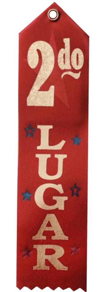 8" Award Ribbon - 2do Lugar