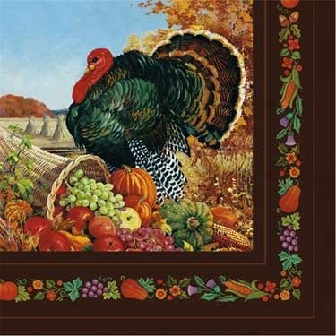 8.25" Luncheon Napkins - Pastoral Turkey (16ct)