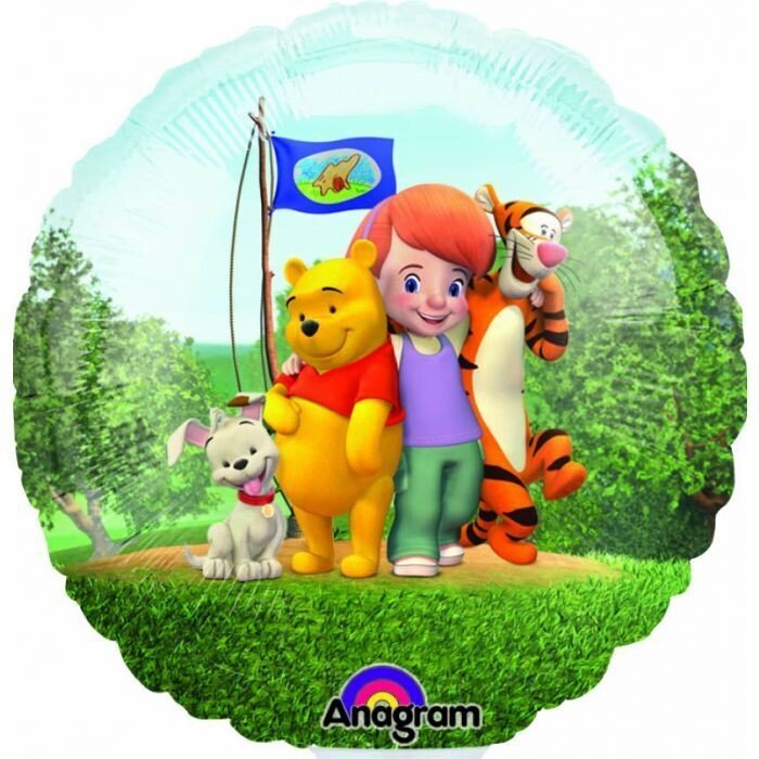 9" Pooh & Friends