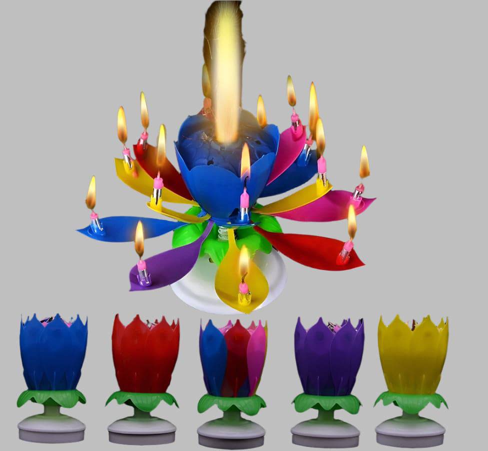 Musical Flower Candle 1Ct (Blister) - Winner Party